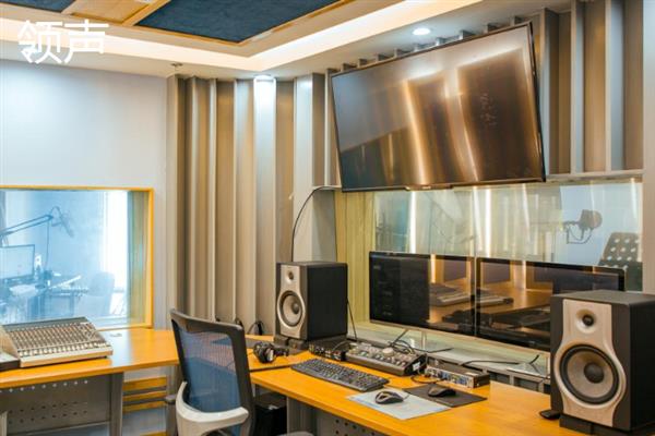 国内出名的配音工作室，有光合积木、729声工厂等