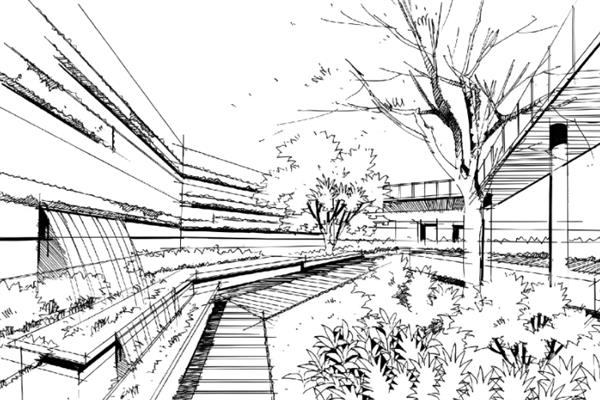 学漫画是要先学素描吗，是有必要学一下素描的