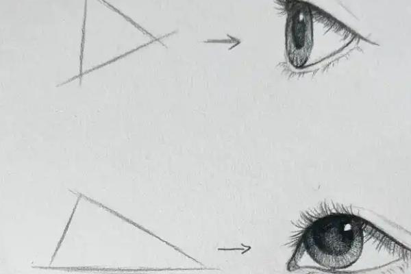 小白怎样学绘画，需要从素描知识的学习入手