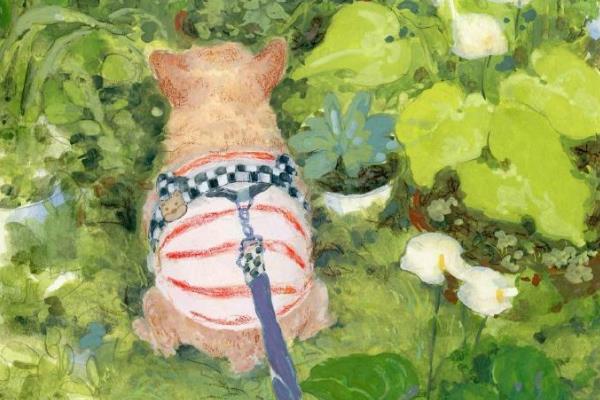 插画可以自学吗，插画是可以自学的