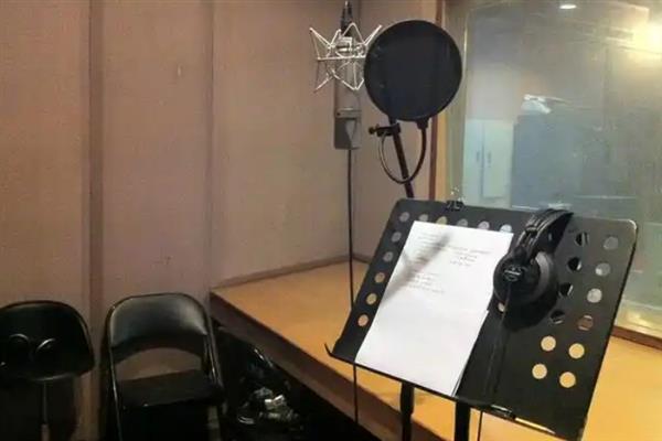 后期配音如何进行音频编辑，需要用到混响、压缩、均衡器等工具