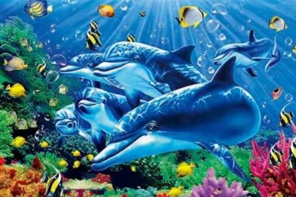 2.5D立体插画简介，用2D线条画出3D立体空间感的作品