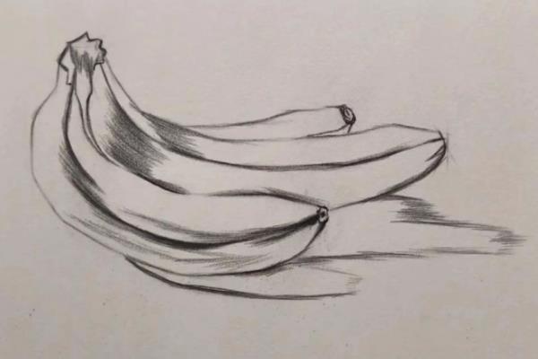 用素描画香蕉的方法，用直线勾出香蕉的位置和轮廓