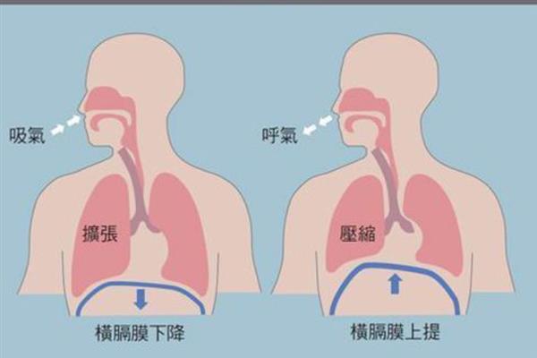 把嗓子变成烟嗓的方法，可练习腹式发声法