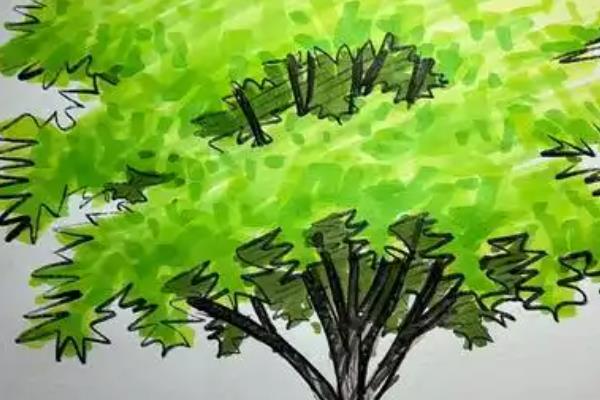 怎么画树木场景插画，首先描绘出基础轮廓