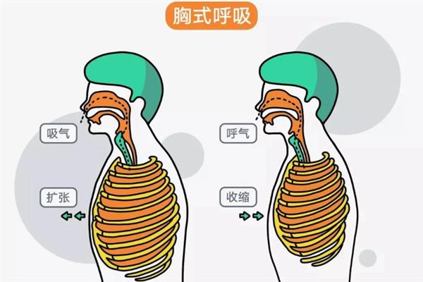 播音主持每天必练的基本功，包括发声练习和口部操等
