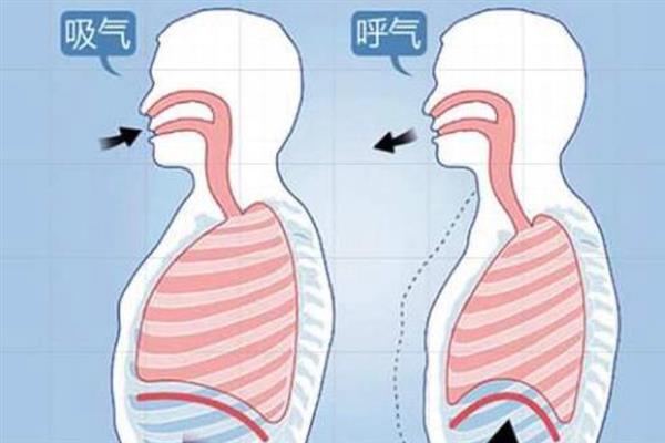 声音中气不足该怎么办，要学会早期锻炼气息
