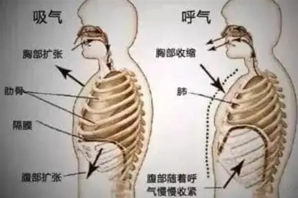 低音炮磁性声音怎么练，先找到适合自己的声线
