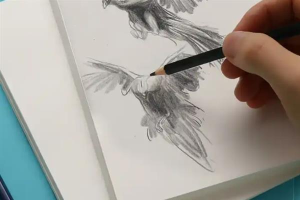 细纹的纸能不能画素描，适合绘制超写实素描作品