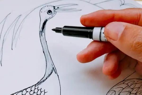 用哪种笔手绘插画，以铅笔、勾线笔为主