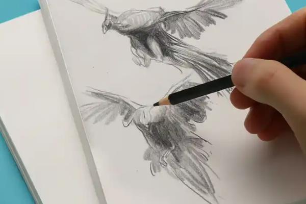 用哪种笔手绘插画，以铅笔、勾线笔为主