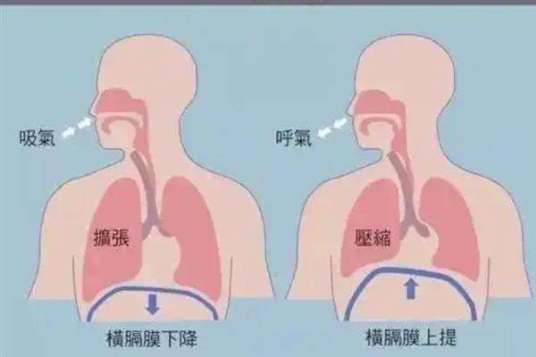 播音是用鼻子还是嘴呼吸，鼻子和嘴都需要配合