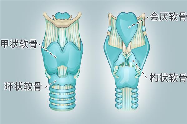 让声音变好听的方法，平时要注意训练气息
