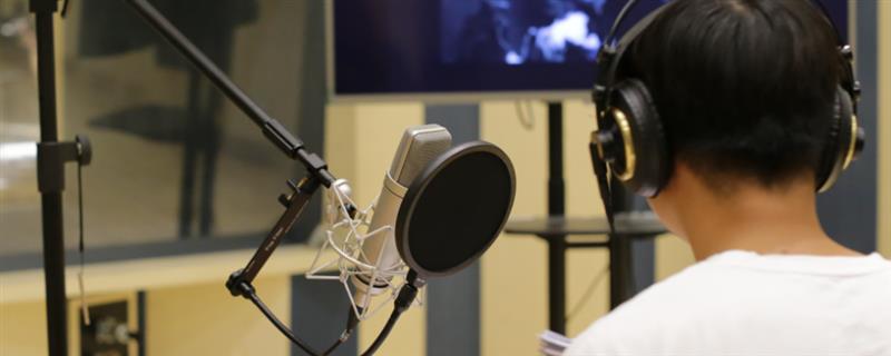伪音的不同声线，通常有正太音、青叔音、青少音等