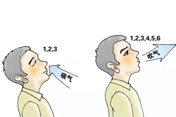 训练气息的方法，采取打嘟法、便签法、深吸法等方式