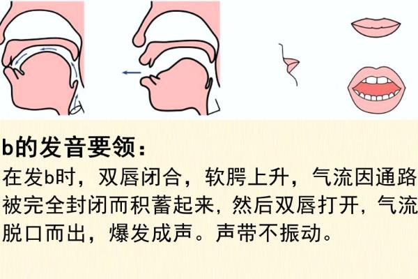 怎样快速学会说普通话，首先练习发音
