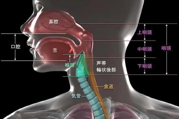 说话声音夹怎么改善，锻炼气息可以提高声音的质感