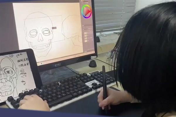 插画师课程学费，大多在三千元至上万元不等