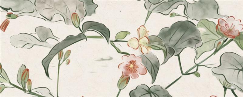 如何绘制百合花水墨画，用淡墨画出形态再上色