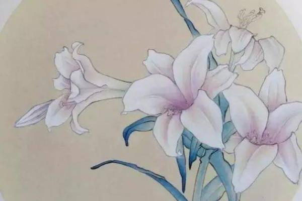 如何绘制百合花水墨画，用淡墨画出形态再上色