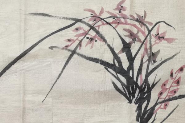 如何绘制百合花水墨画，用淡墨画出形态再上色