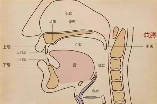 如何抬起软腭，可以使用绕舌法、打哈欠法等