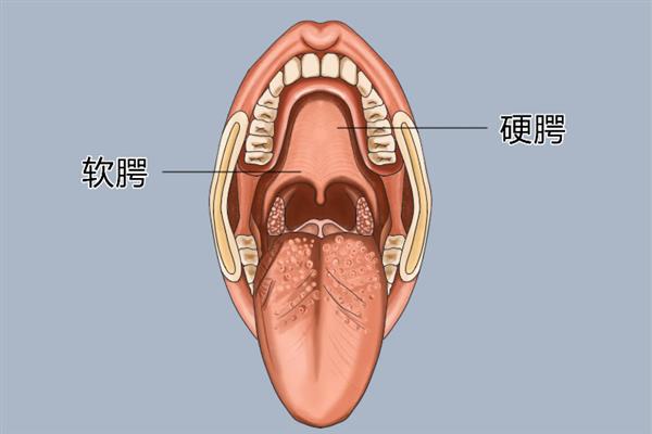 如何抬起软腭，可以使用绕舌法、打哈欠法等