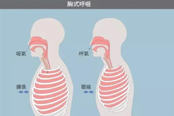 伪声要怎么学，包括声线学习、发音基础等