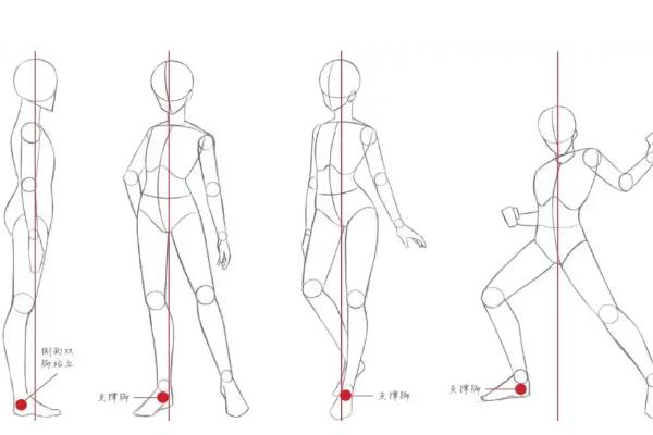确定人物耳朵位置的方法，画正脸则位于左右两侧
