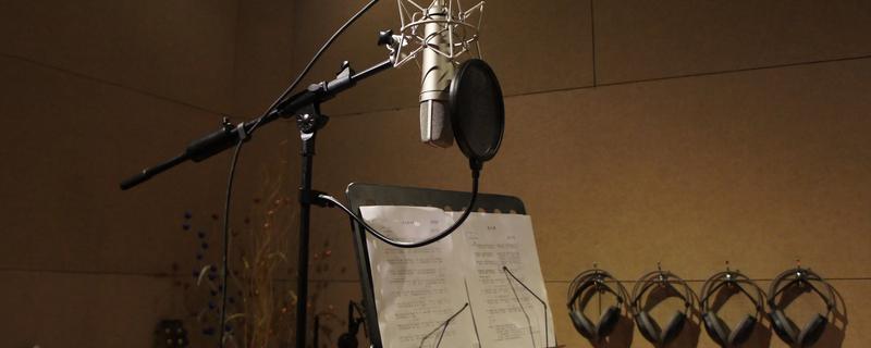 如何找到自己的声音风格定位，根据声音特质来决定