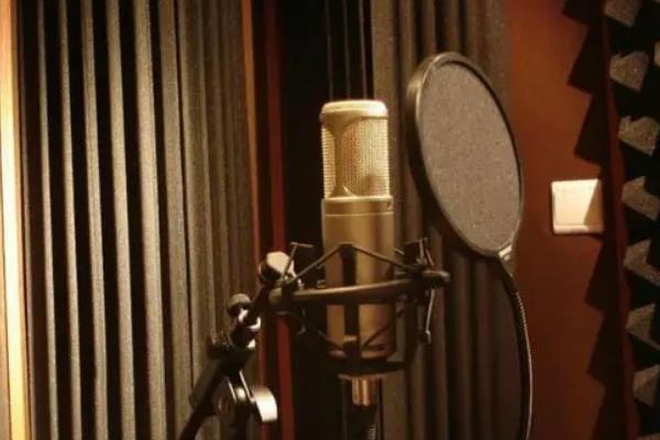 CV声线的类型，具体类型有正太音、萝莉音、夹子音等