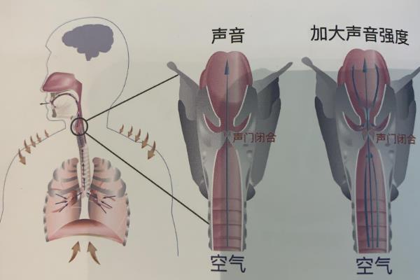 让声音变实的方法，可采取以下3种练习方式