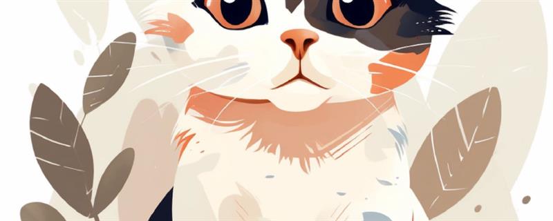 如何将猫咪的照片转为插画，将照片导入绘画软件中再做修改