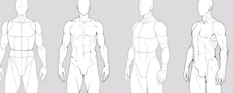 如何绘制人体结构速写，首先要确定肩线、腰围线、臀围线