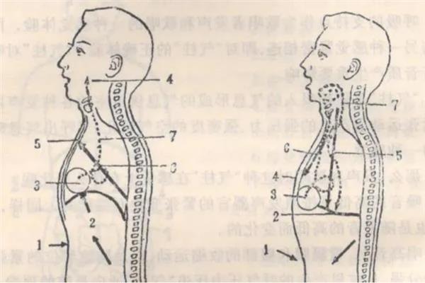 判断播音时是用气息还是喉咙的方法，用气息发音比较扎实且有力量感
