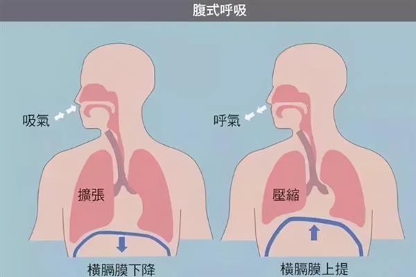 播音员说话的呼吸的要求，要求呼气稳定
