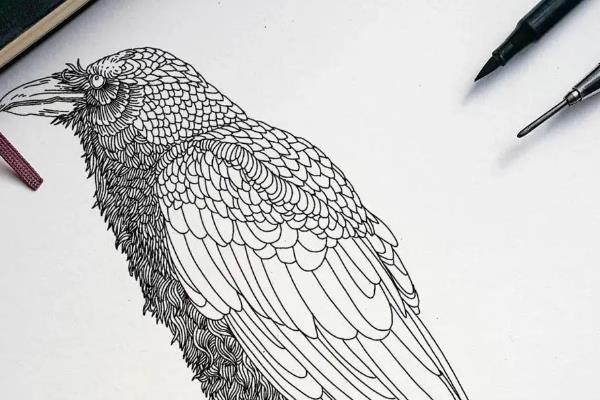 初学者用什么牌子的勾线笔，推荐樱花、晨光等