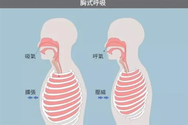 学伪音需要多久，因人而异