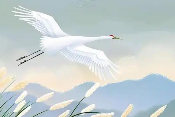 扁平插画风格如何收费，可根据经验去定价