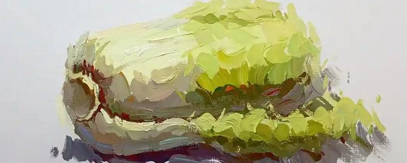 如何绘制水粉静物中的白菜,画出大致的形体结构再确定明暗关系