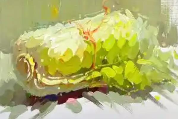 如何绘制水粉静物中的白菜，画出大致的形体结构再确定明暗关系