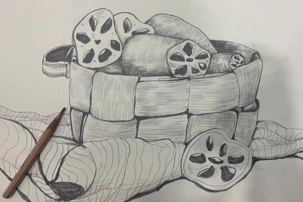 二年级的小学生适合学哪类画种，蜡笔画、铅笔画、水彩笔画均可选择