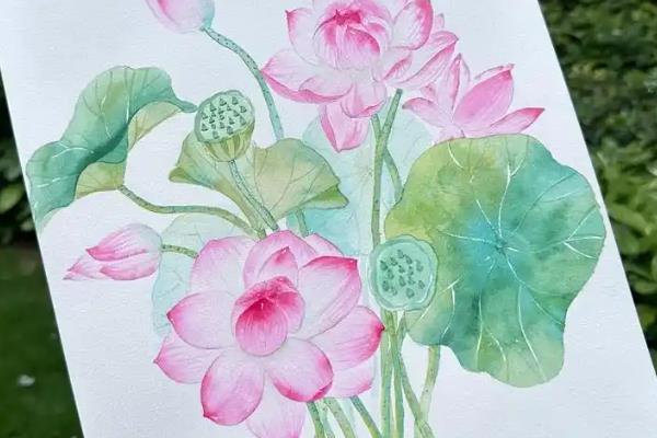 二年级的小学生适合学哪类画种，蜡笔画、铅笔画、水彩笔画均可选择
