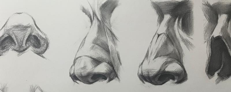 素描鼻子怎么画,第一步画出鼻子的外轮廓