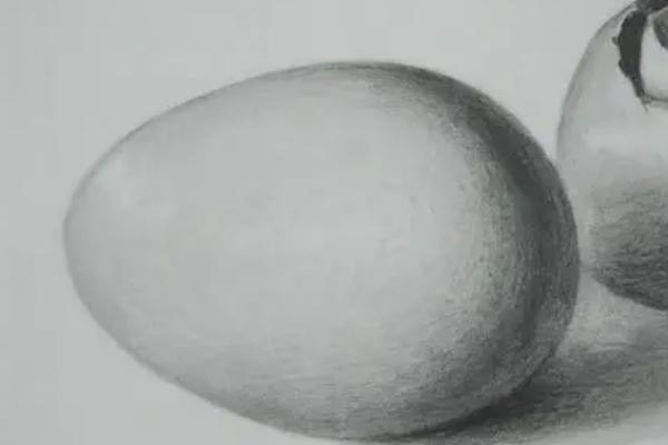 怎么画素描鸡蛋，首先要准确勾勒出外形