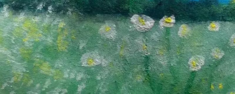新手如何画水粉画,画之前先学习一点基础的美术知识
