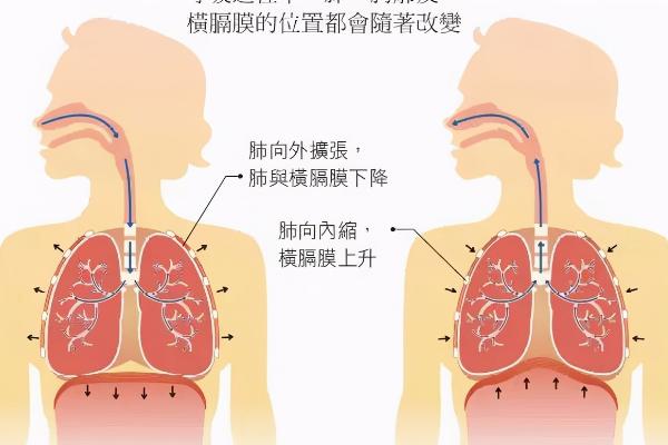 如何延长并稳定气息，可练习均匀发声等方式