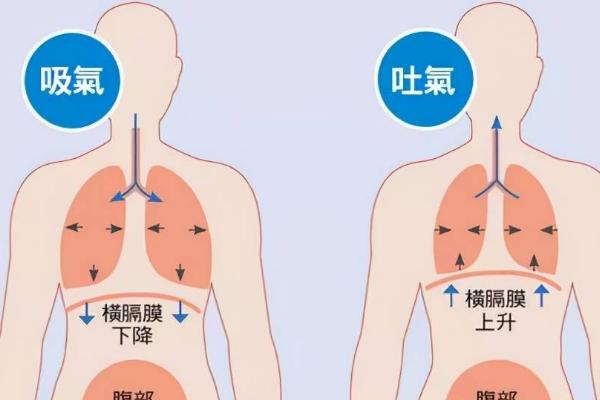 如何延长并稳定气息，可练习均匀发声等方式