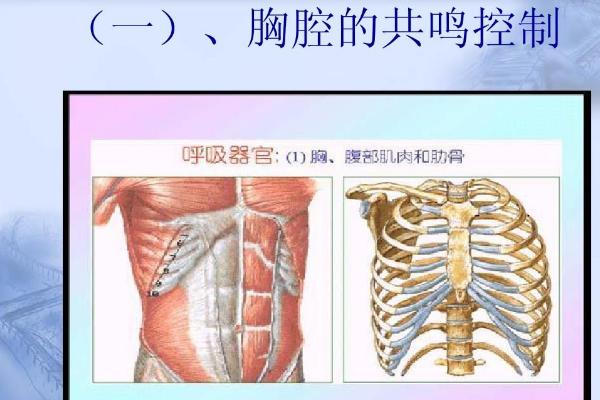 如何练出浑厚低沉的声音，训练胸腔共鸣能增加声音的厚实感