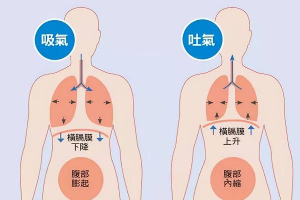 练习狗喘气的方法，吸气要注意自己的腹部的变化情况